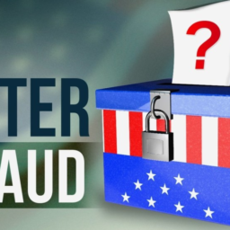 [Voter Fraud Graphic]