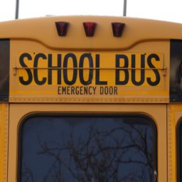 high-resolution photo of car, number, transportation, transport, sign, vehicle, color, usa, yellow, education, bus, back, school, shape, school bus, land vehicle, automotive exterior, vehicle registration plate